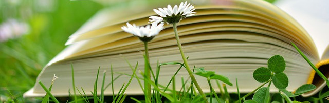 Un livre posé dans l'herbe